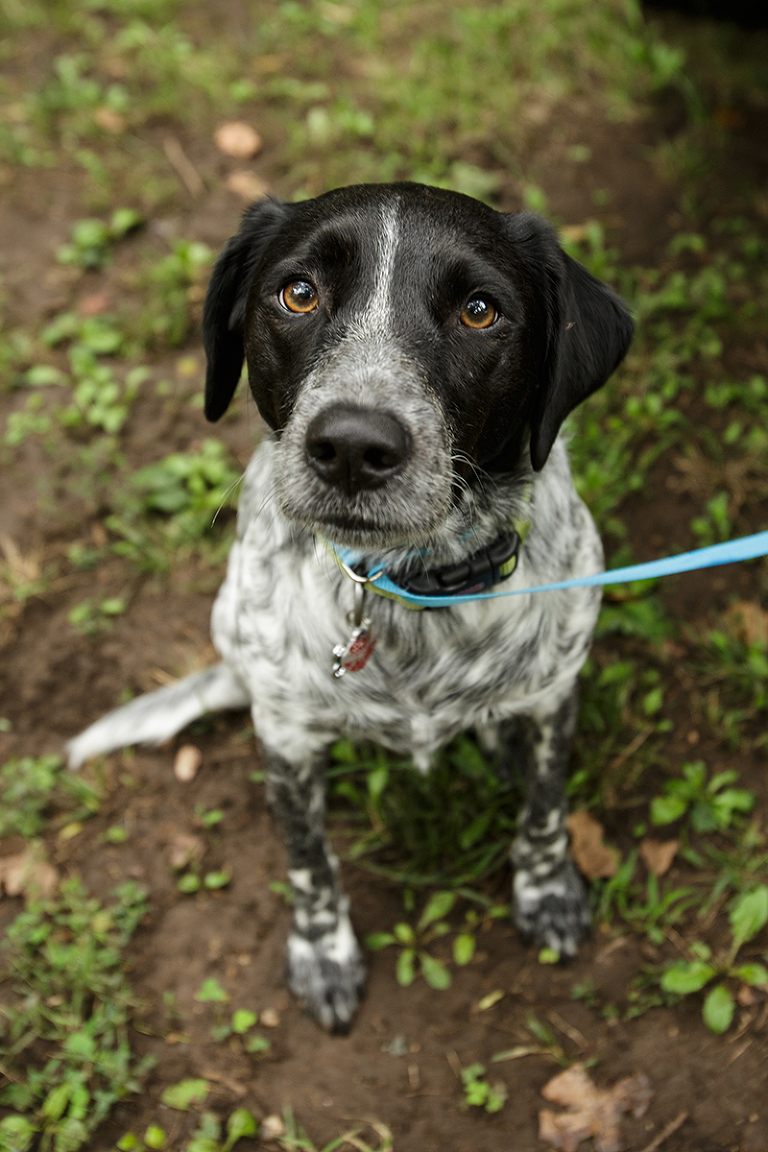 Click-Photography_Kansas-City_Senior-Portraits_Tianna_1010