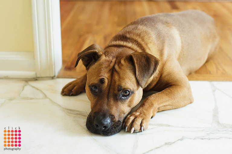 Click-Photography_kansas-city_wedding_2013_Love-1000