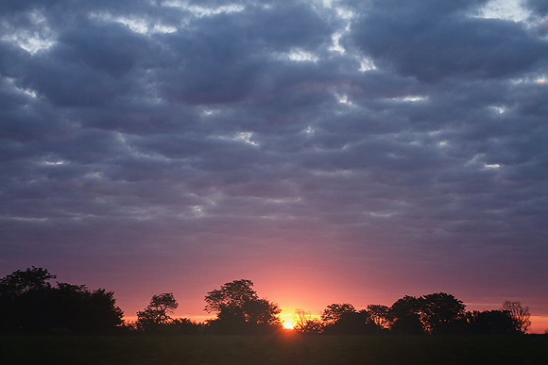 Click-Photography_Kansas-City_Wedding_Griebel_1000