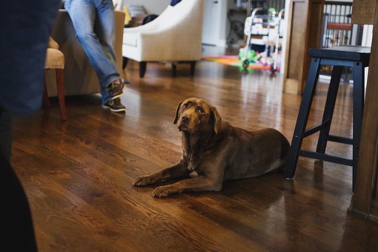 Click-Photography_Kansas-City_Family_Documentary_Garcia_2016_1045