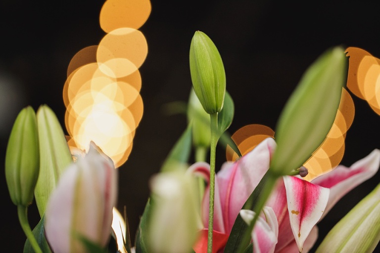 Click-Photography-Wedding-Abe-and-Jakes-Lawrence-KS_Dewey_1061