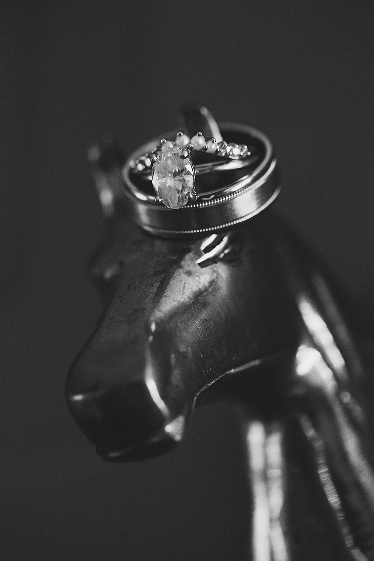 Modern wedding at Mildale Farm