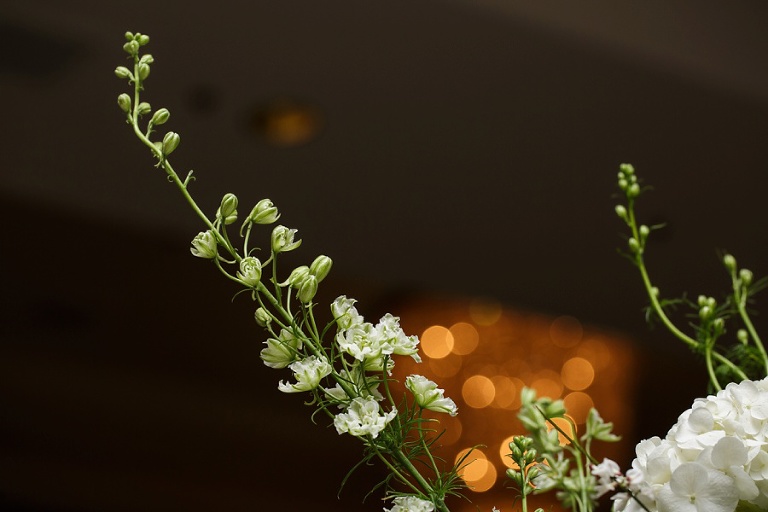 marriott-kc-weddings_click-photography_k-p_1036