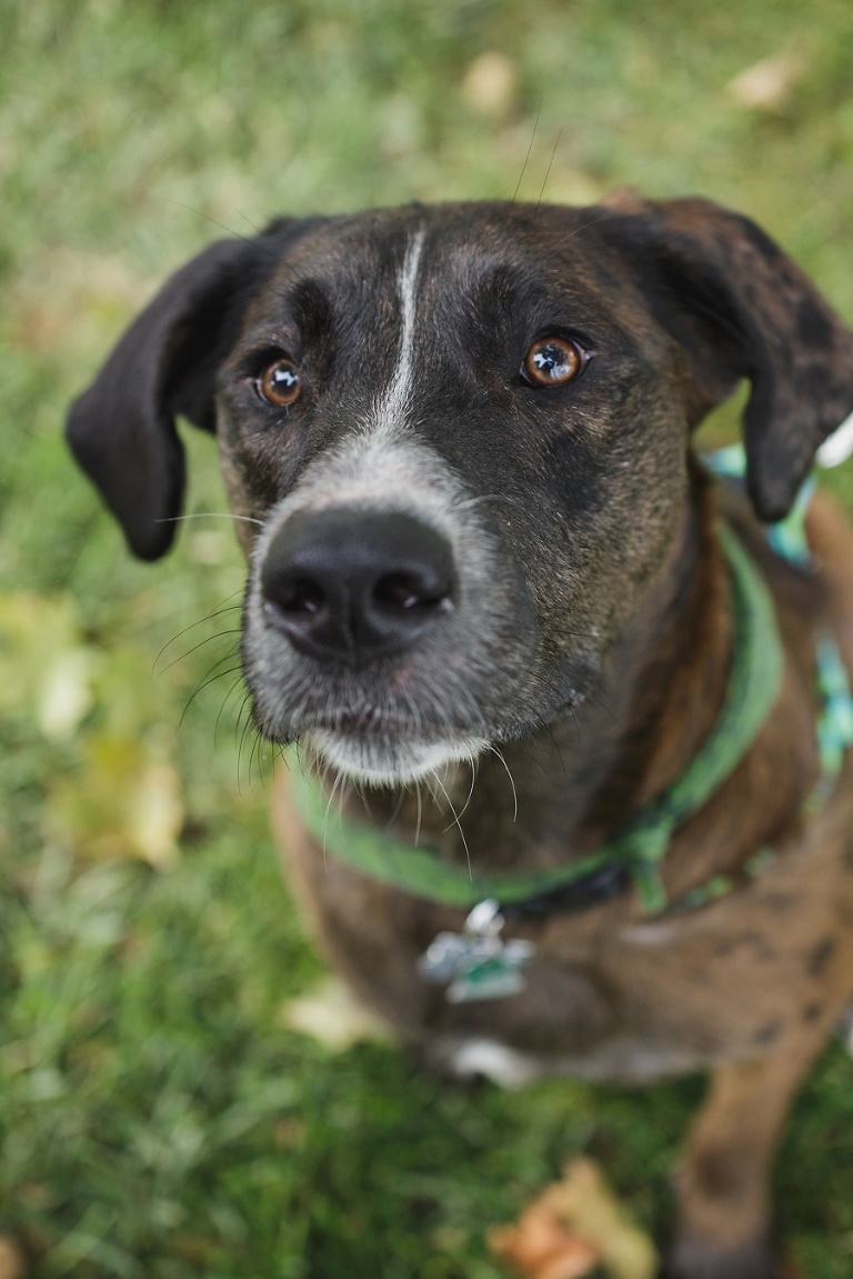 liberty-memorial_kansas-city_engagement-2016_alex-corey_1021