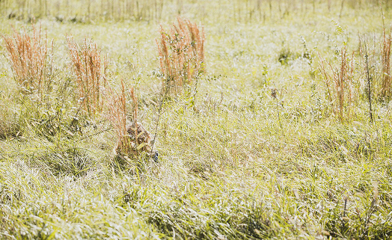 lawrence-eudora-family-portraits_deathe-1008