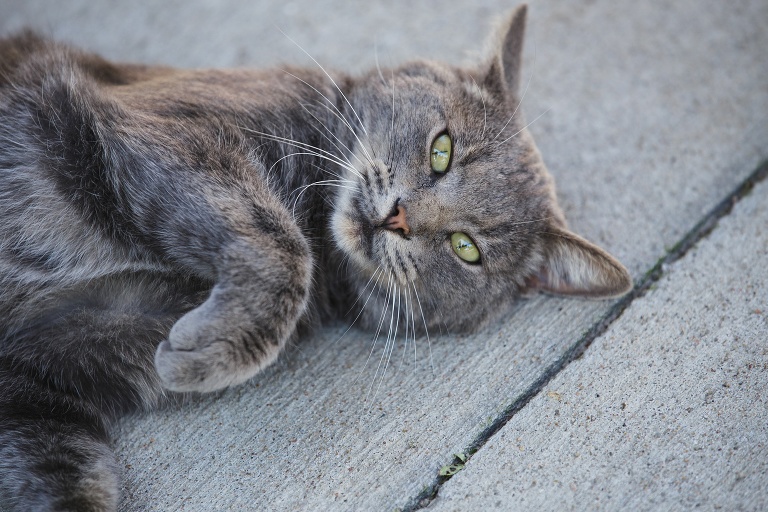 lawrence-eudora-family-portraits_deathe-1015