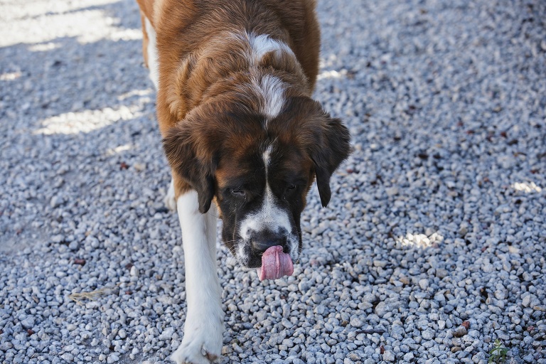 lawrence-eudora-family-portraits_deathe-1033